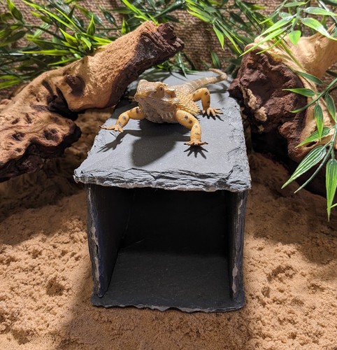 Medium natural slate cave hide - slate,