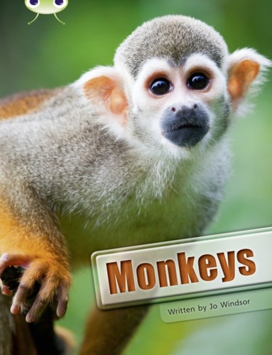 White monkeys by jo - nf,