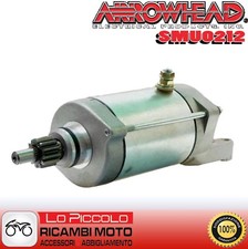 Arrowhead Starter Motor
