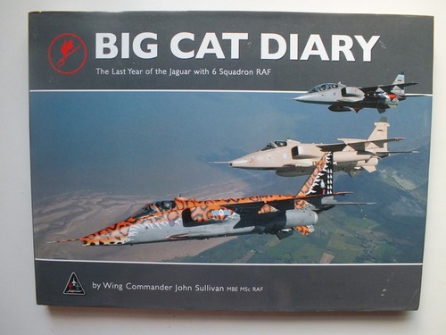 Big cat diary the last - cat, diary: