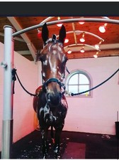 12 Lamp Solarium Silver Shadow