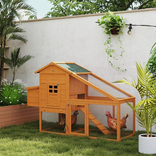 Outdoor chicken coop - coop, with