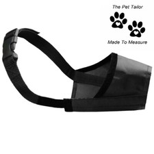 Doberman Pinscher Dog Muzzle