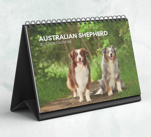 Australian shepherd desk - shepherd,