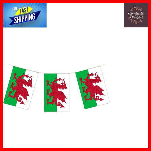 Vibrant welsh bunting 10m - vibrant,
