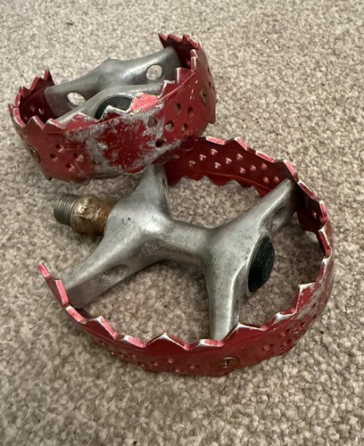 Odyssey shark bite - bear, trap