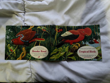Vintage Brooke  Bond Picture Cards & Book , Tropical Birds