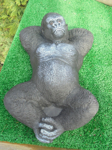 Laying down gorilla concrete - laying,