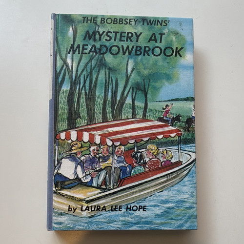 The bobbsey twins - the,