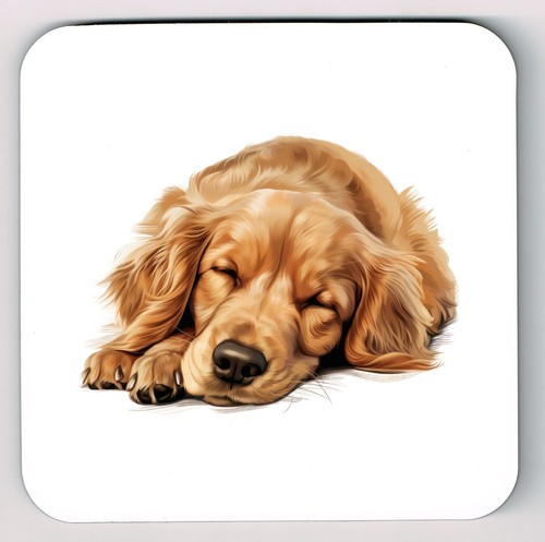 Sleeping laying down golden - laying,