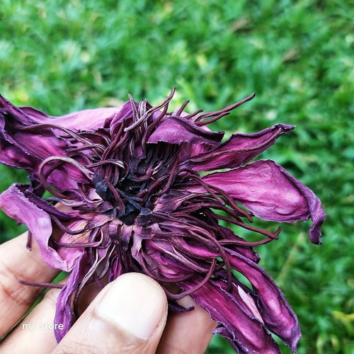 Ceylon 100 organic dried - organic, red