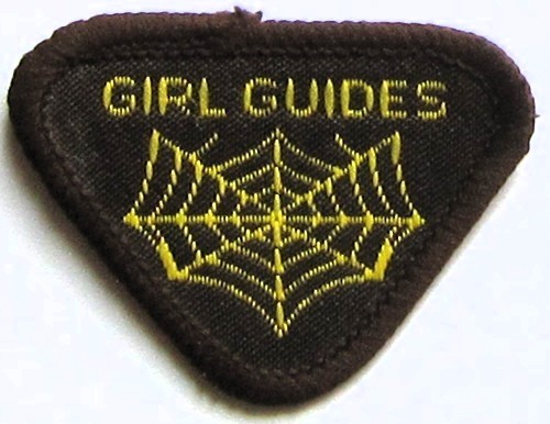 Brownie guide interest - guide,