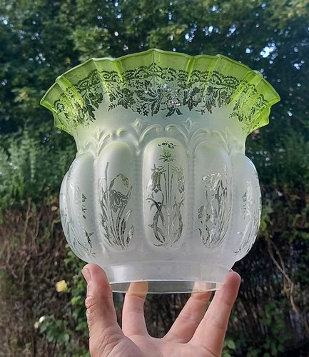 Rare shape colour victorian - rare,