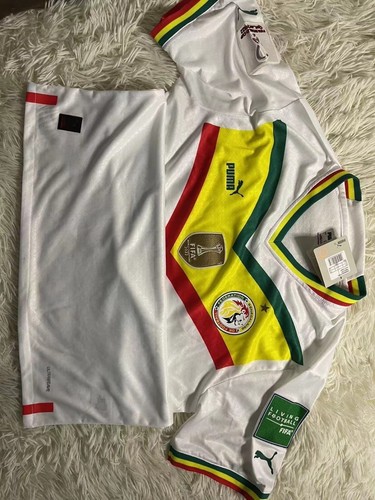 Senegal 2022 world cup - 2022,