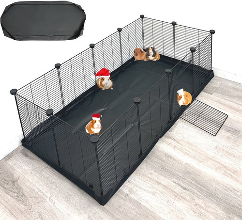 Xlarge guinea pigs - guinea,