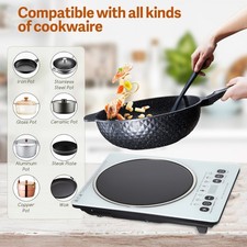 1500W Electric Induction