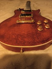 DIY Les Paul Style Electric