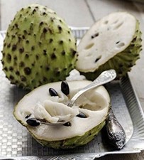 Soursop - Guanabana - Graviola