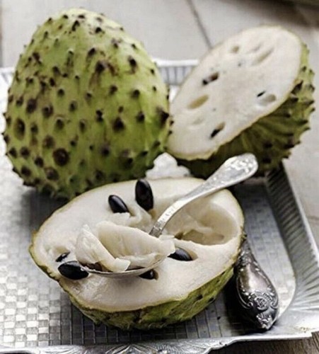 Soursop guanabana graviola - -,