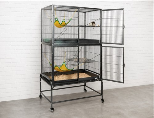 Large double ferret rat - ferret,