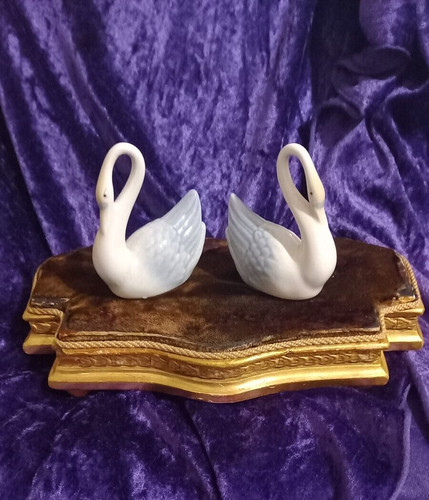 Vtg pair miquel requena - vtg,