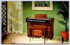 Neenah Vintage Conn Caprice