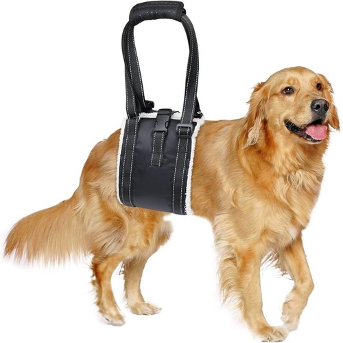 Bro adjustable dog - adjustable,