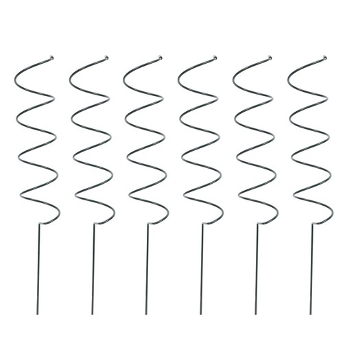 Green iron spiral plant - iron,