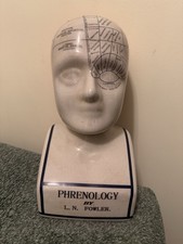 Ceramic Bust of Phrenology Head Sculpture Home Decor Office . 12 Inches Tall