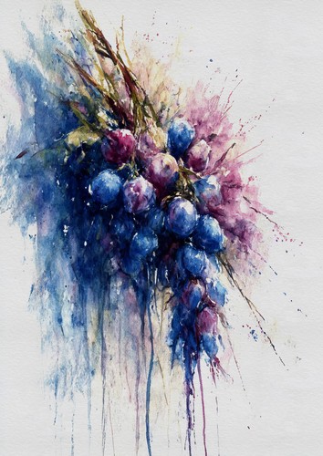 Vineyard grapes collection - vineyard,