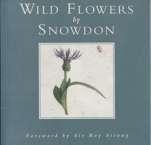 Wild flowers excellent - pb,,