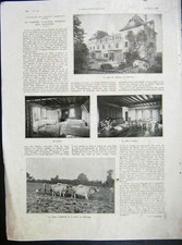 Original Old Vintage Print