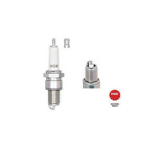 2912 ngk spark plug for - ngk, alfa