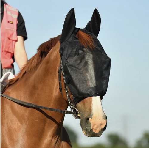 Equilibrium net relief riding - net,