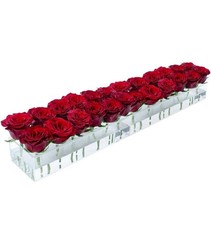 Flower vase rectangular - ,
