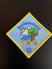 Environment 100 Brownie