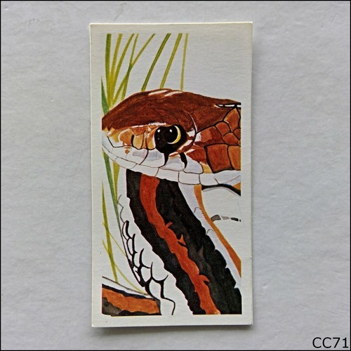 Brooke bond tea card - bond,