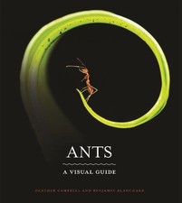 Ants - 9780691228525