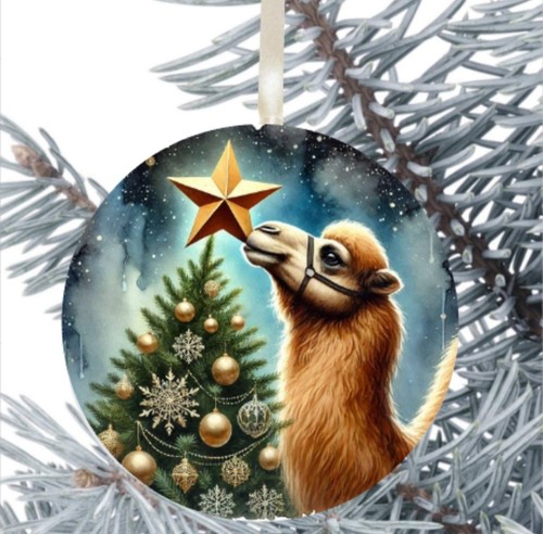 Camel gift present - present, decoration