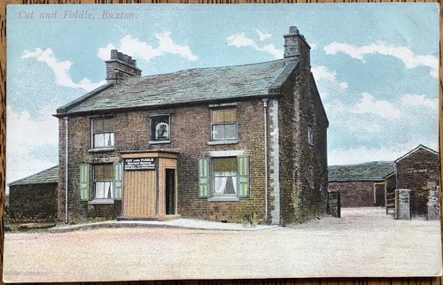 Buxton cat fiddle - buxton, pub