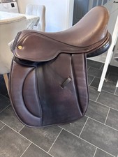 Pony, Cob Horse Bowland