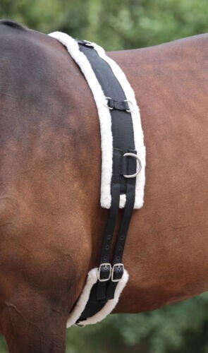 Shires nylon lunge - nylon, roller