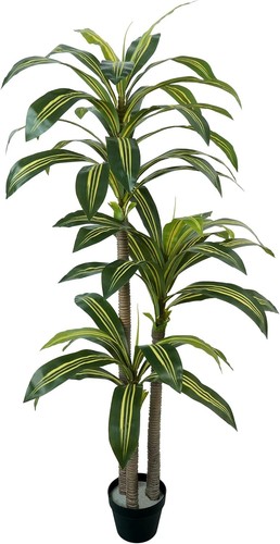 Artificial dracaena plant - dracaena,
