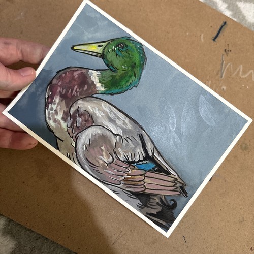 Mallard runner duck - duck, original