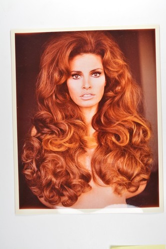 Raquel welch portrait - welch,
