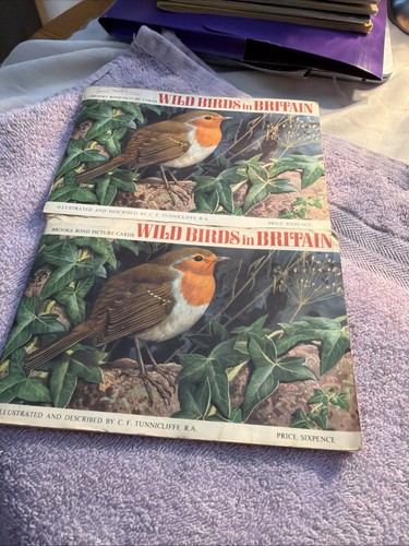 Wild birds britain brooke - britain,,