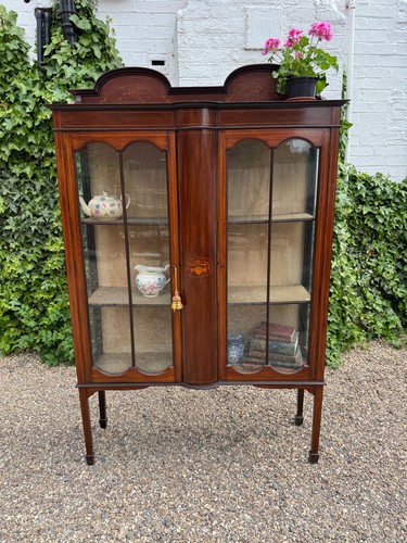Edwardian mahogany display - mahogany,