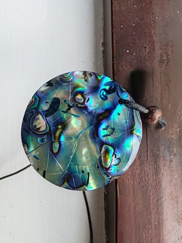 Abalone shell necklace with - necklace,