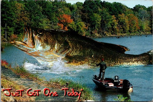 Fishing big fish - with, man