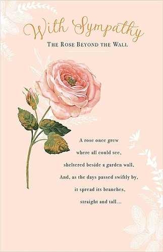 The rose beyond wall - 6,